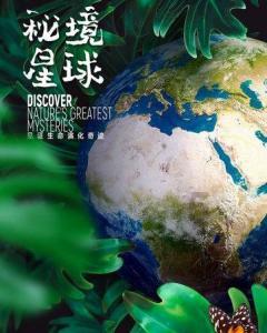 倍轻松、未野、易舒生C5腰部按摩器好用嘛？测评哪家最护腰！